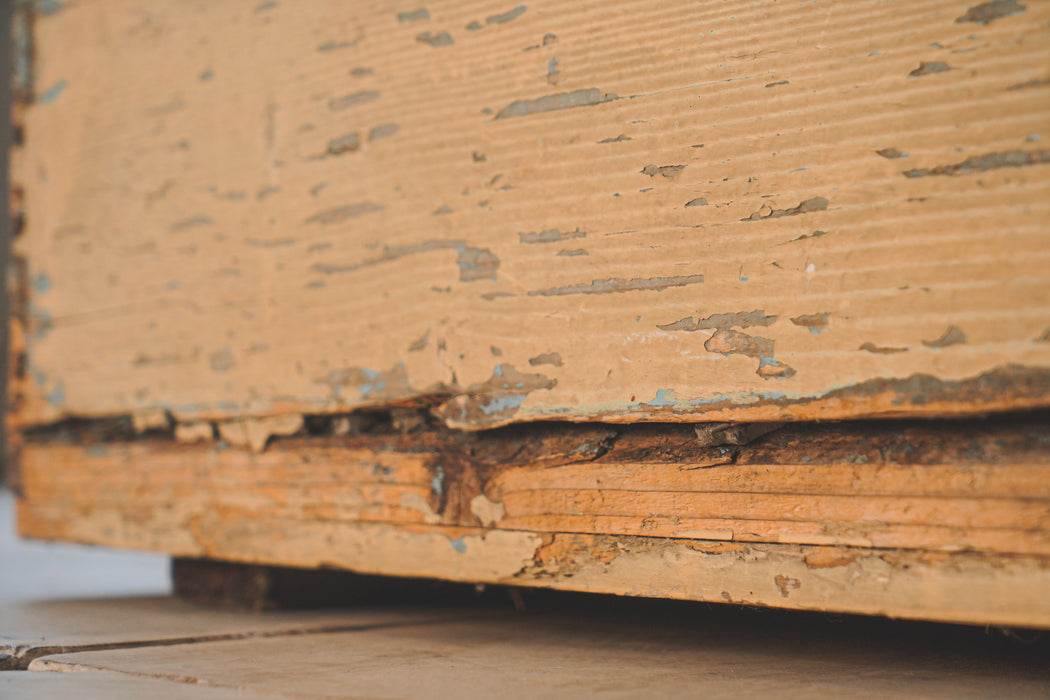 Antique Trunk