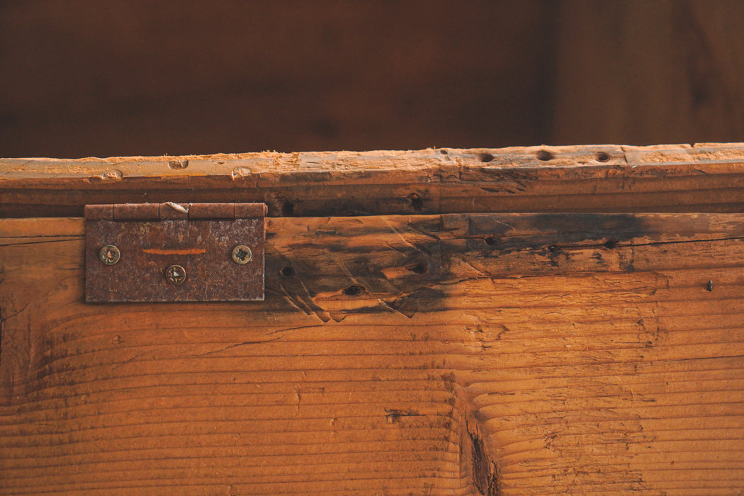 Antique Trunk