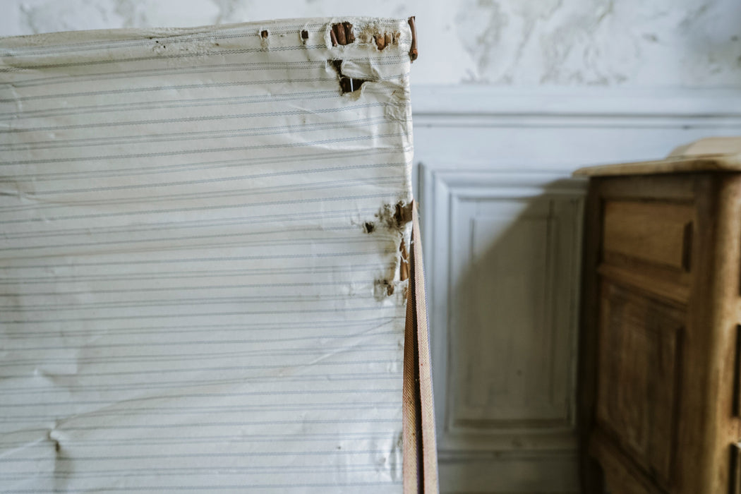 Antique Trunk